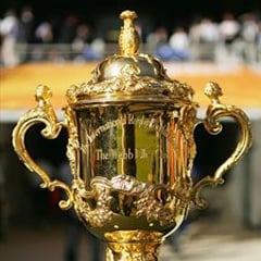 Rugby World Cup trophy (File) 
