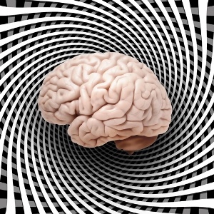 Human brain from Shutterstock