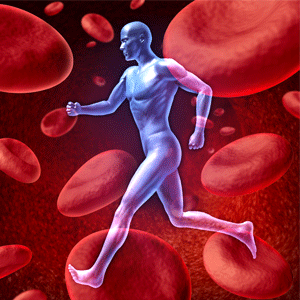 Human cardiovascular blood circulation system with a running human on a background of red blood cells flowing through an artery for the concept of the medical circulatory body that is well oxygenated.
