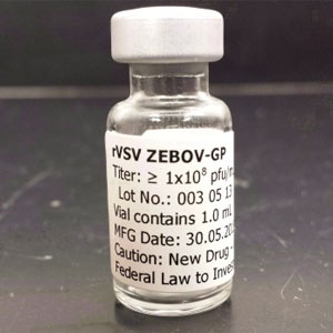 A vial of the VSV-ZEBOV vaccine. Photo; Walter Reed Army Institute of Research / Col. Shon Remich / The Canadian Press
