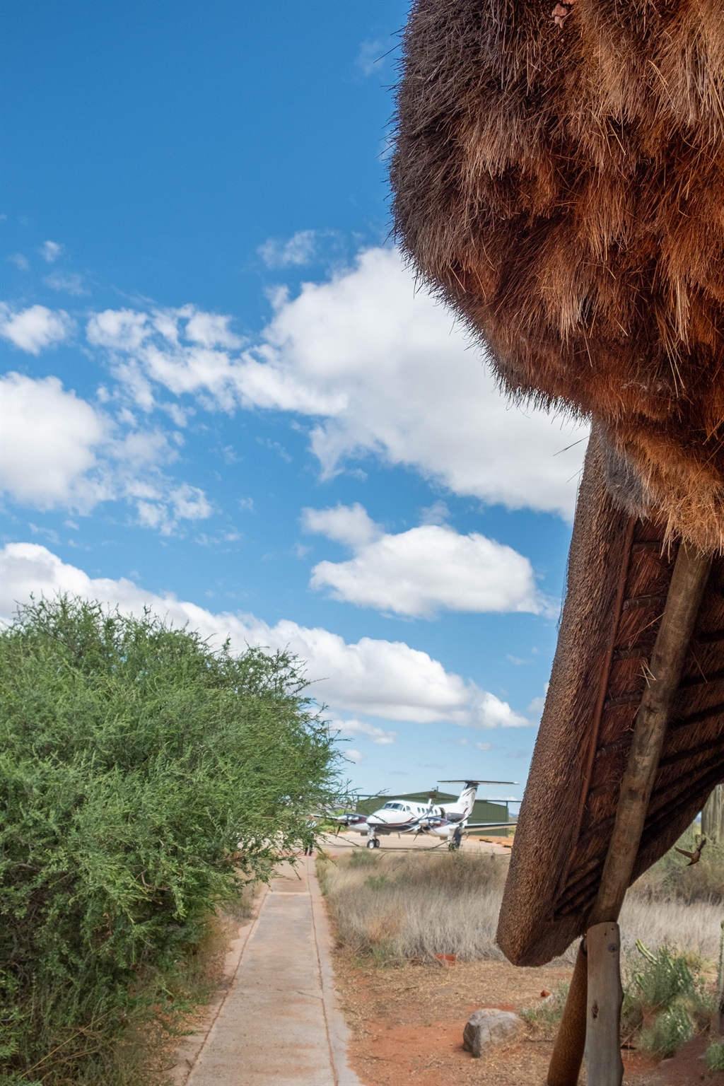 Tswalu Kalahari. Photo: Andrew Thompson.