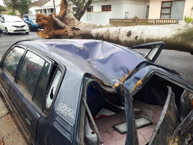 A car in Goodwood damaged after a tree fell on it during severe weather conditions in Cape Town. (Jenni Evans/News24)