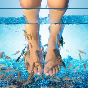 Fish pedicures have been linked to several health risks and infections. 
