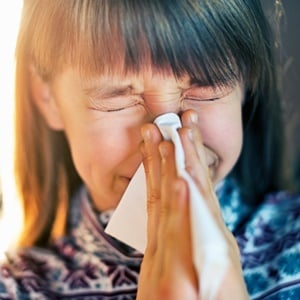 Dust mites in the home can cause several allergies.