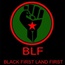 BLF will continue protests against journalists who ‘tarnish black people’