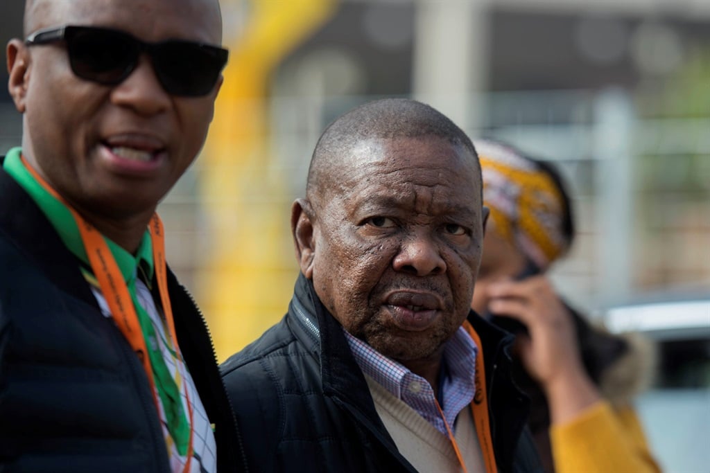 Blade Nzimande at the ANC policy conference at Nasrec Picture: Deaan Vivier/Netwerk24
