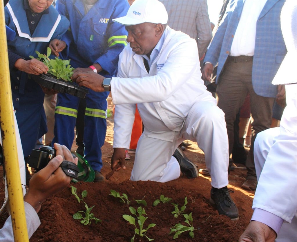 Deputy President Cyril Ramaphosa plants a food garden at the launch of the Mookgophong Early Childhood Development Centre in Limpopo for #MandelaDay.PHOTO: Twitter