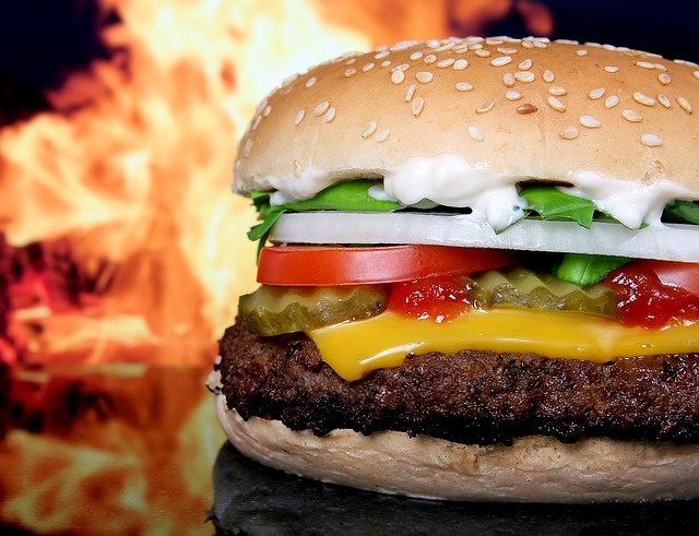 Koop hamburgers vir bedelaars | Netwerk24
