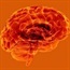 Brain scans 'read' emotions
