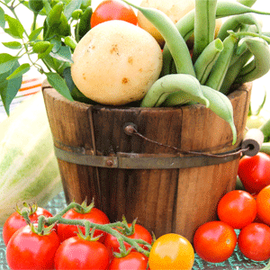Basket of fresh leafy vegetables