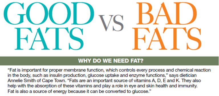 Good fats bad fats head