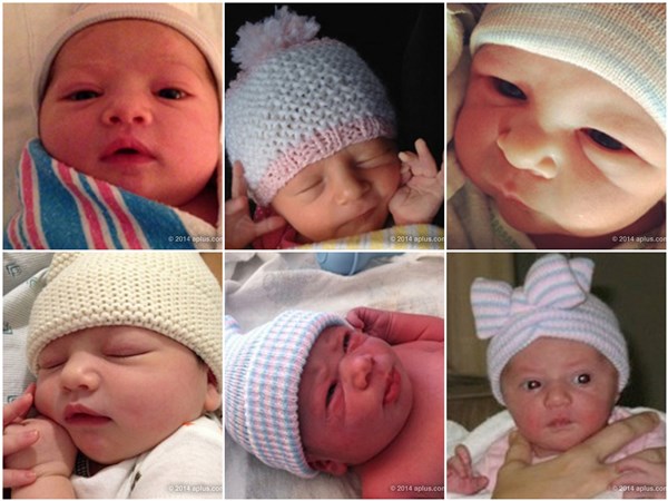 Ashton shared pics of all these babies (and a dog and a llama) on his website. PHOTO: http://aplus.com/a/ashton-and-mila-baby-photos