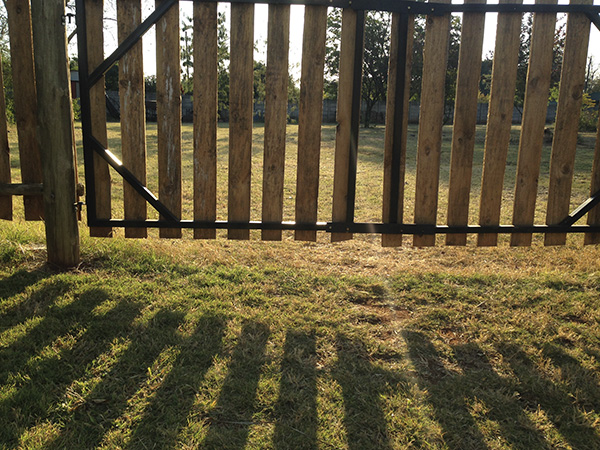 The gate out of which the dog allegedly escaped. PHOTO: Supplied
