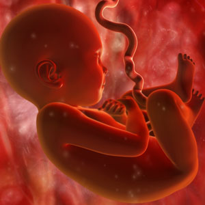 Perinatal deaths are a combination of foetuses that are born dead, known as stillbirths, and babies that die in the first week after birth. (Shutterstock)