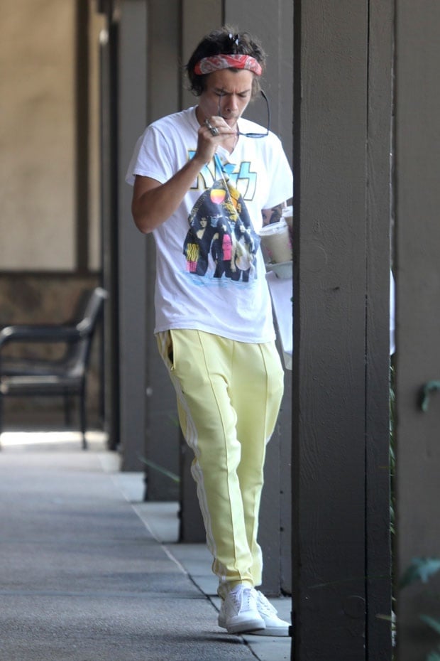 harry styles paparazzi picture