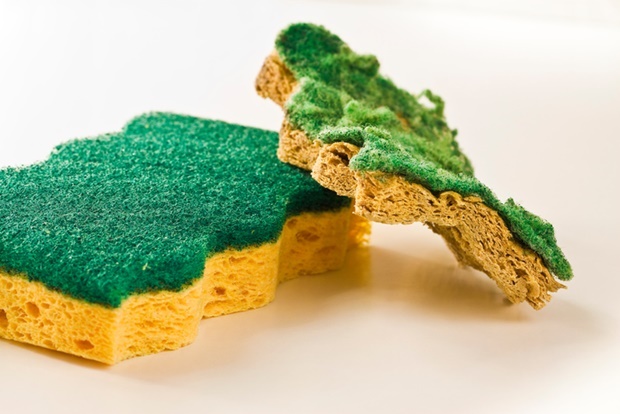 kitchen sponge