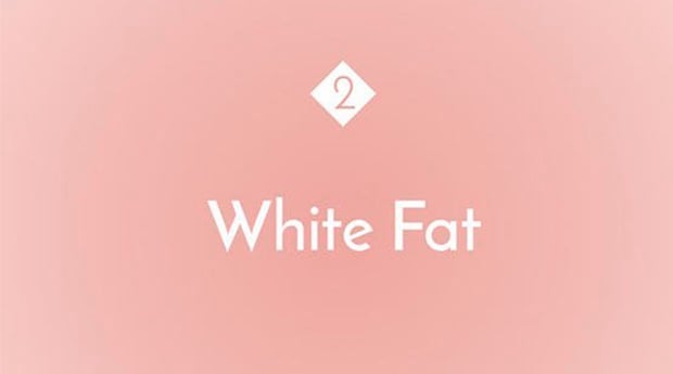 fat, women's health