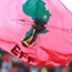 EFF to feel heat of university politics