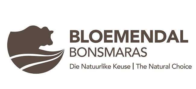 Bloemendal logo