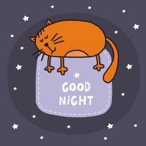 Good night from Shutterstock