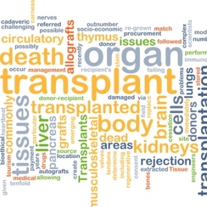 Organ transplant from Shutterstock