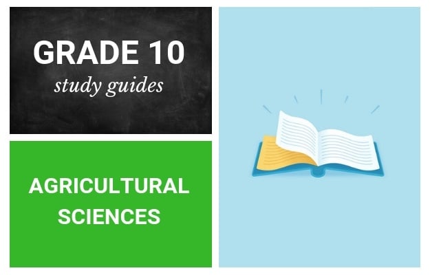 grade 10 study guides