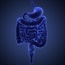 'Listen to your gut' to help prevent colon cancer