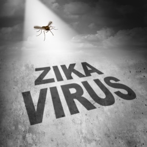 The Zika virus may not be directly responsible for microcephaly.