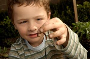 Worms tend to infect children more than adults.