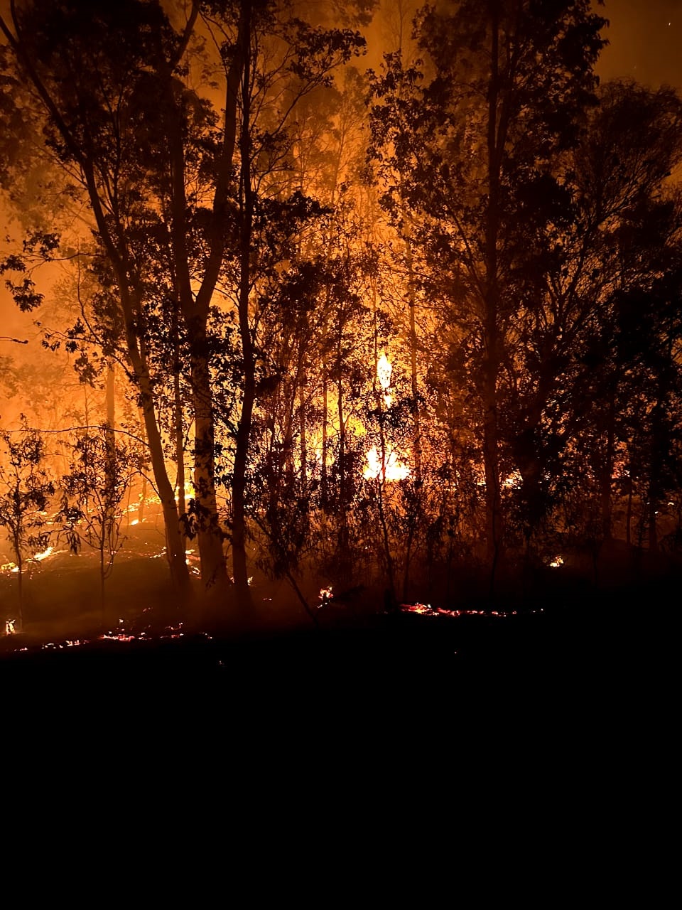 Pics Fire Ravaging Cape Winelands District Rages For Fourth Day News24