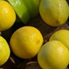 Seven surprising uses for lemons