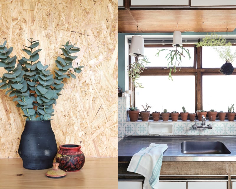 Upside-down hanging plants and a fern kokedama add a playful touch to the kitchen.