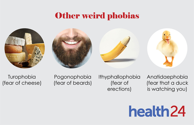 phobias, infographic