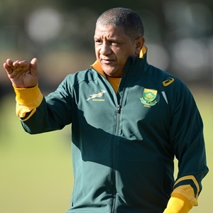 Allister Coetzee faces a huge task as Springbok coach when the team play Ireland in the first Test at Newlands. (Ashley Vlotman, Gallo Images)