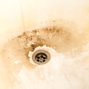 Can a dirty bathtub be a threat to your health? 