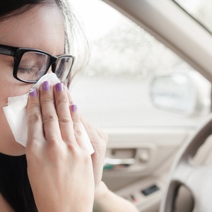 Heavy traffic can be linked to a higher prevalence of hay fever and asthma. 