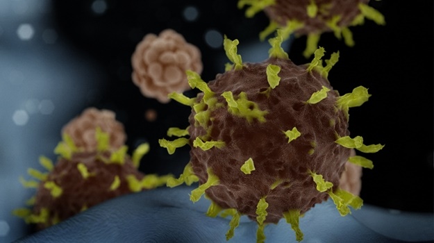 Apa yang bisa dipelajari Afrika Selatan dari virus corona?