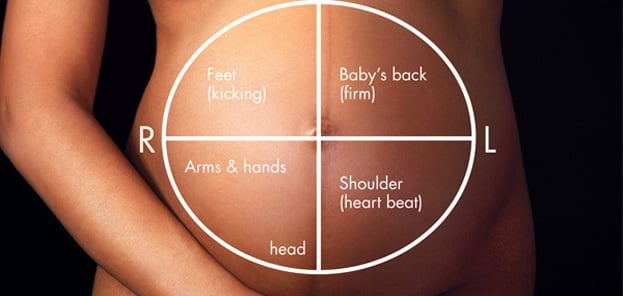 Belly mapping: how is your baby laying?