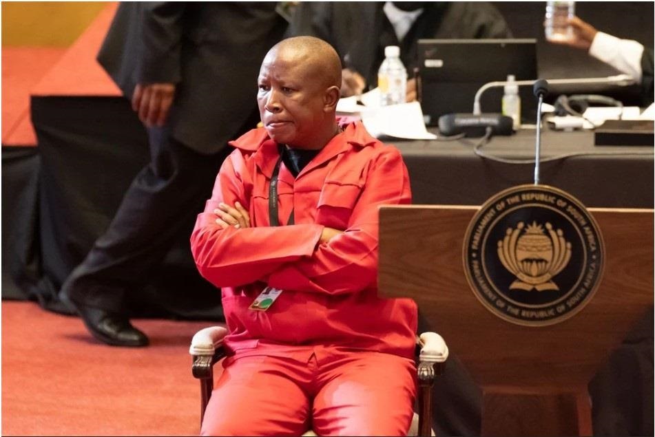 Julius Malema loses land invasion appeal. 