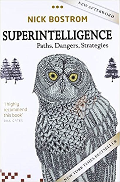 Superintelligence Paths, Dangers, Strategies by Ni