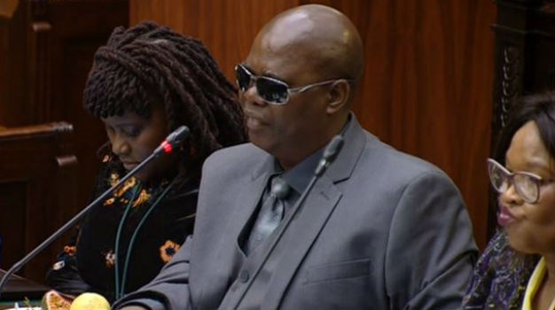 Land expropriation hearings continue in Parliament. (Video screen grab)