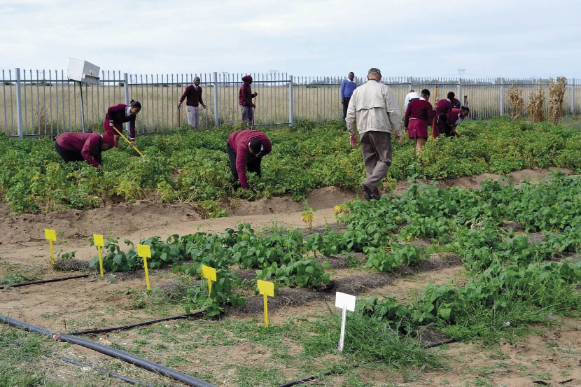 Daar is net ’n handjie vol landbouhoërskole in Suid-Afrika, maar daar is ’n groot behoefte aan opleiding in landbouweten­skap. FOTO: WILLEM BURGER