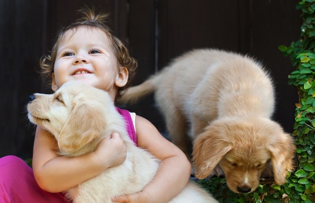 toddler playing with puppy 