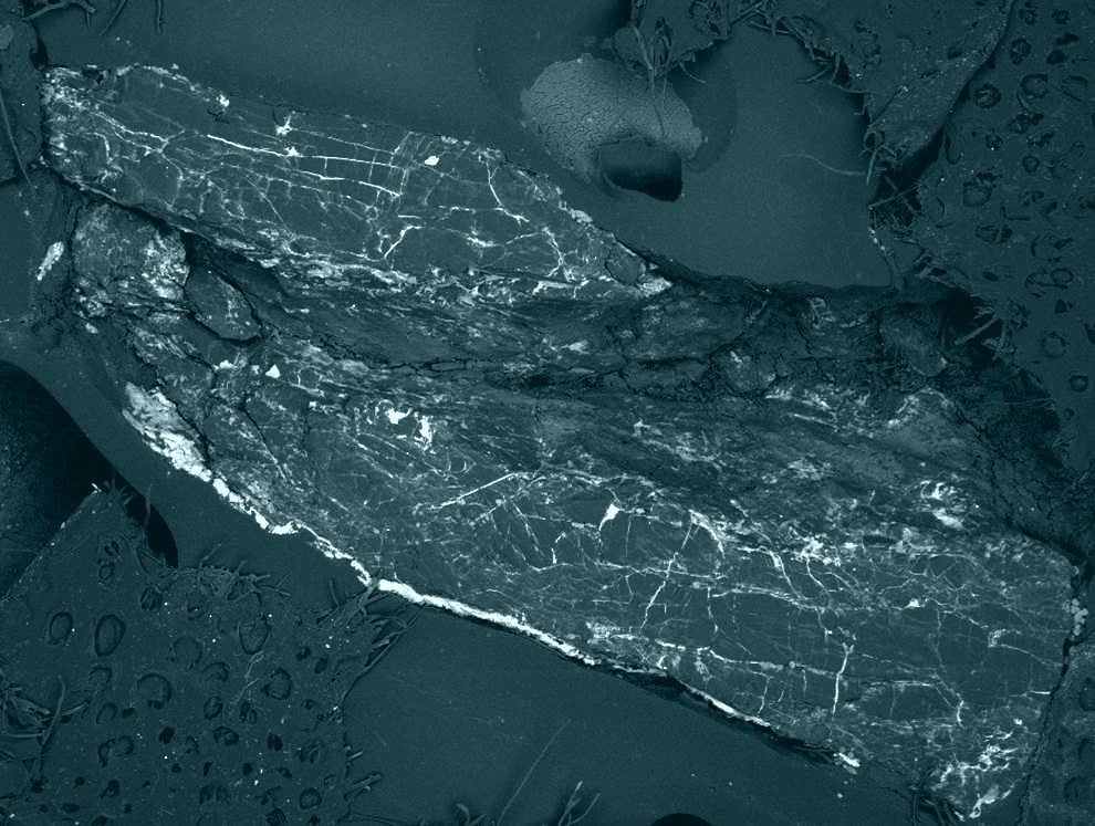 A small (one centimetre long) fragment of the Hypatia stone, cut, polished and mounted for microprobe and scanning to determine the mineral content. The cracks are filled with minerals that formed in the soil after the stone had landed.