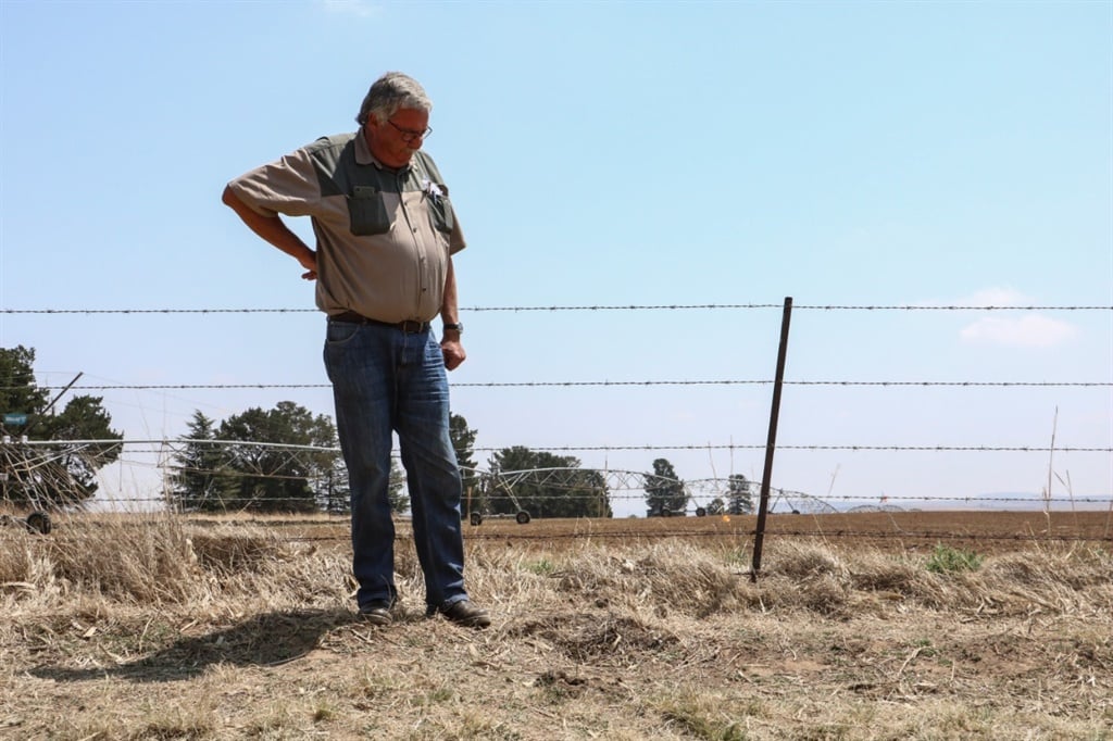 Owner of Bloukruin, Gilly Scheepers, standing at the spot where 21-year-old Brendin Horner's body was found. 