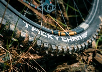 Nobby Nic and Wicked Will - Why the best MTB tyres have crazy names