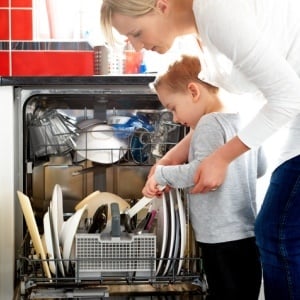 Dishwashers may harbour pathogens. 