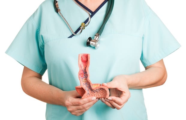 doctor holding esophagus anatomy 