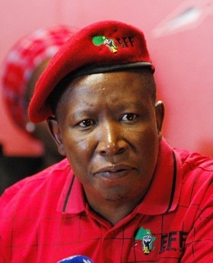 EFF Leader Julius Malema. Photo: Daily Sun
