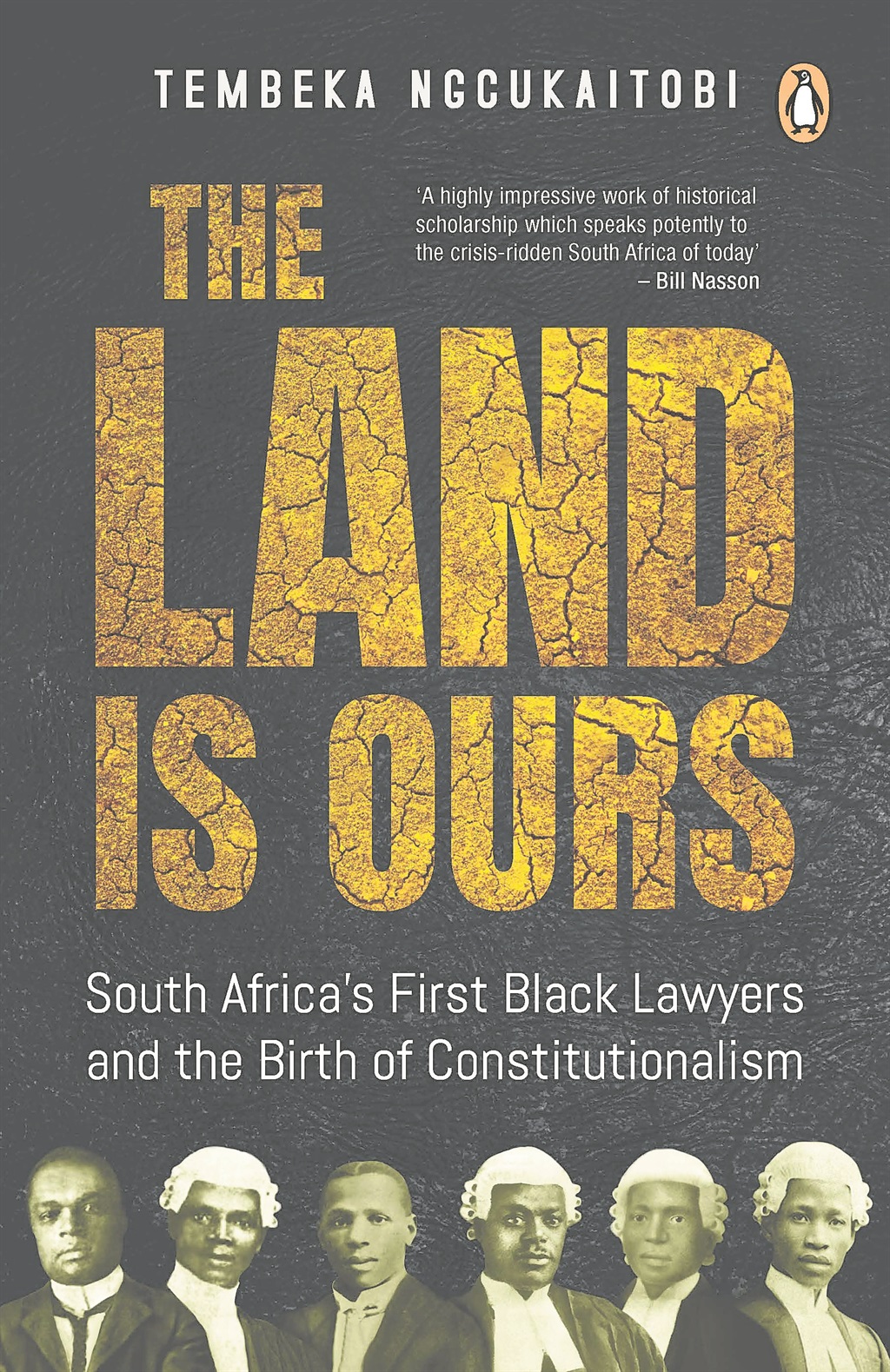 The Land is Ours by Tembeka Ngcukaitobi